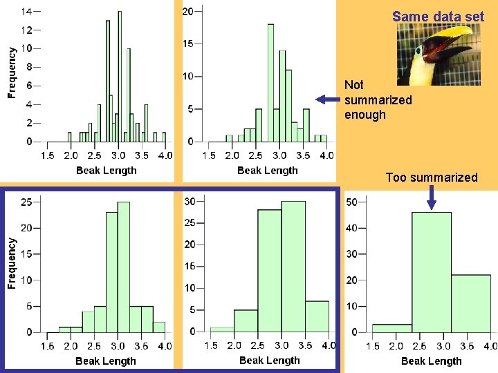 Same data set Not summarized enough Too summarized 