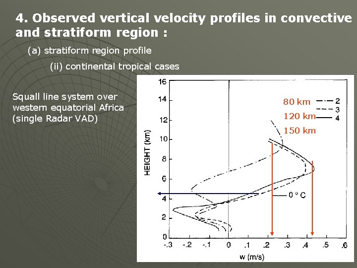 4. Observed vertical velocity profiles in convective and stratiform region : (a) stratiform region