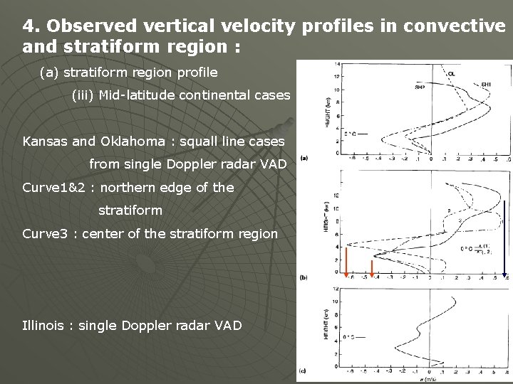 4. Observed vertical velocity profiles in convective and stratiform region : (a) stratiform region