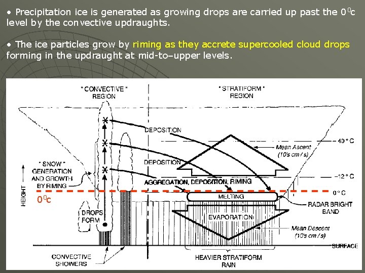  • Precipitation ice is generated as growing drops are carried up past the