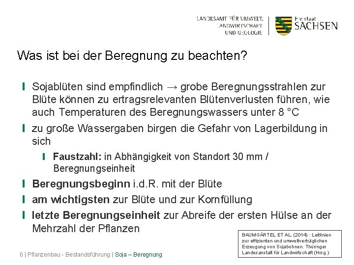 Was ist bei der Beregnung zu beachten? ❙ Sojablüten sind empfindlich → grobe Beregnungsstrahlen