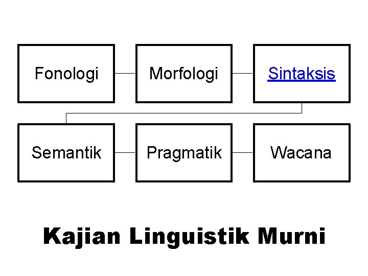 Fonologi Morfologi Sintaksis Semantik Pragmatik Wacana Kajian Linguistik Murni 