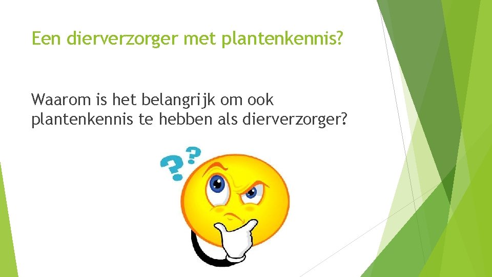 Een dierverzorger met plantenkennis? Waarom is het belangrijk om ook plantenkennis te hebben als