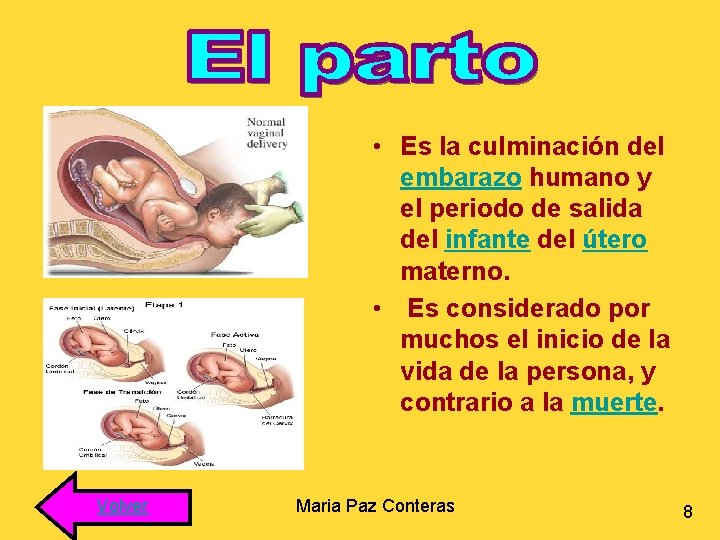  • Es la culminación del embarazo humano y el periodo de salida del