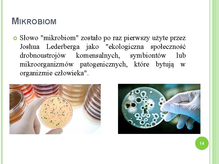 MIKROBIOM Słowo "mikrobiom" zostało po raz pierwszy użyte przez Joshua Lederberga jako "ekologiczna społeczność