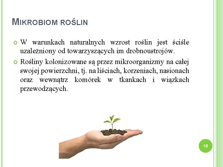 MIKROBIOM ROŚLIN W warunkach naturalnych wzrost roślin jest ściśle uzależniony od towarzyszących im drobnoustrojów.