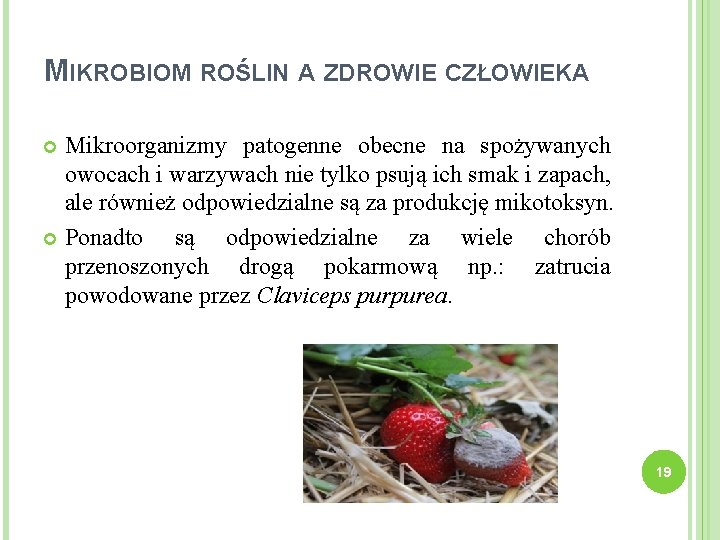 MIKROBIOM ROŚLIN A ZDROWIE CZŁOWIEKA Mikroorganizmy patogenne obecne na spożywanych owocach i warzywach nie