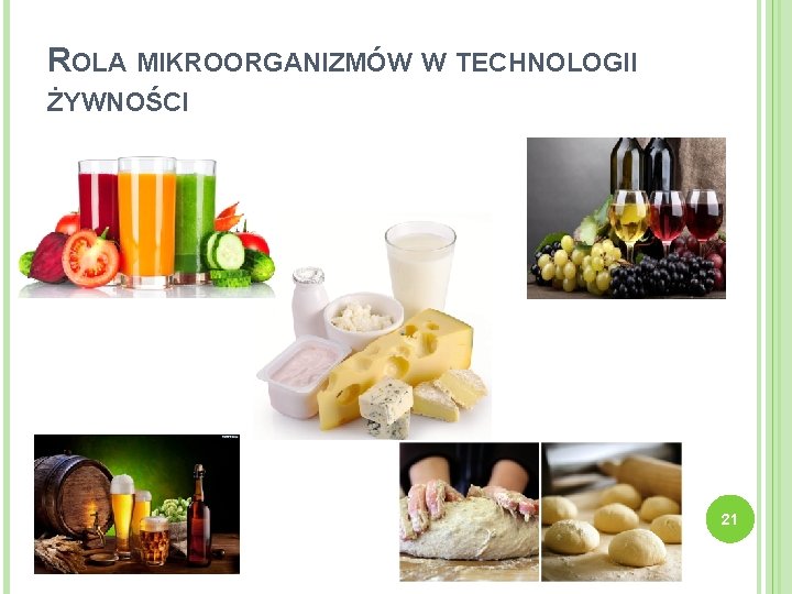 ROLA MIKROORGANIZMÓW W TECHNOLOGII ŻYWNOŚCI 21 