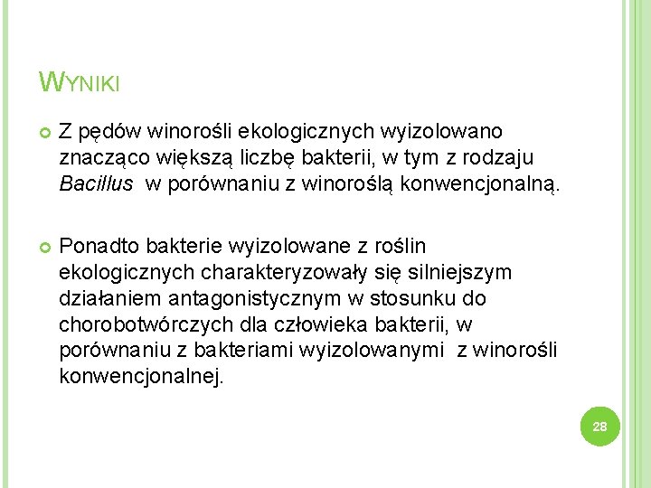 WYNIKI Z pędów winorośli ekologicznych wyizolowano znacząco większą liczbę bakterii, w tym z rodzaju