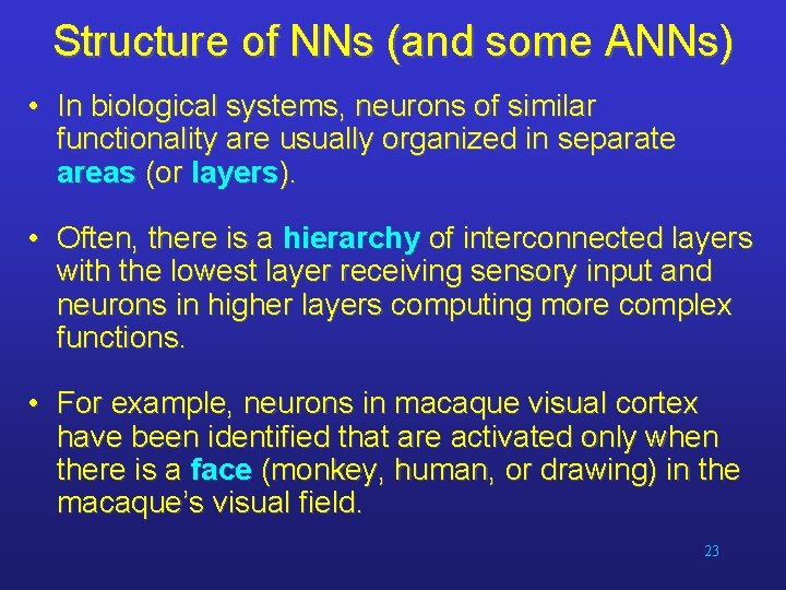 Structure of NNs (and some ANNs) • In biological systems, neurons of similar functionality