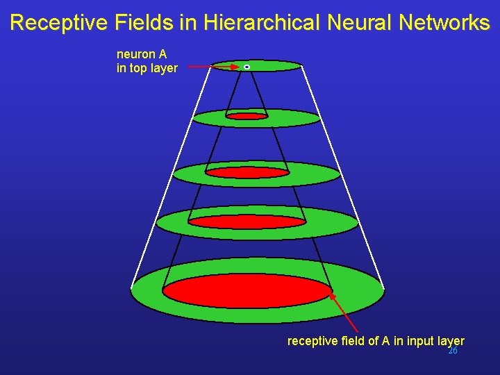 Receptive Fields in Hierarchical Neural Networks neuron A in top layer receptive field of