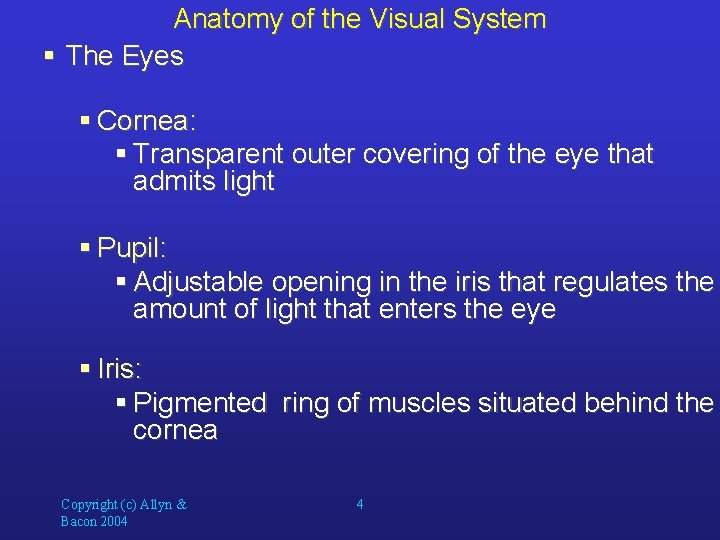 Anatomy of the Visual System § The Eyes § Cornea: § Transparent outer covering