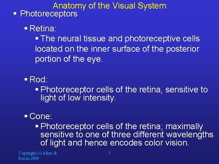 Anatomy of the Visual System § Photoreceptors § Retina: § The neural tissue and