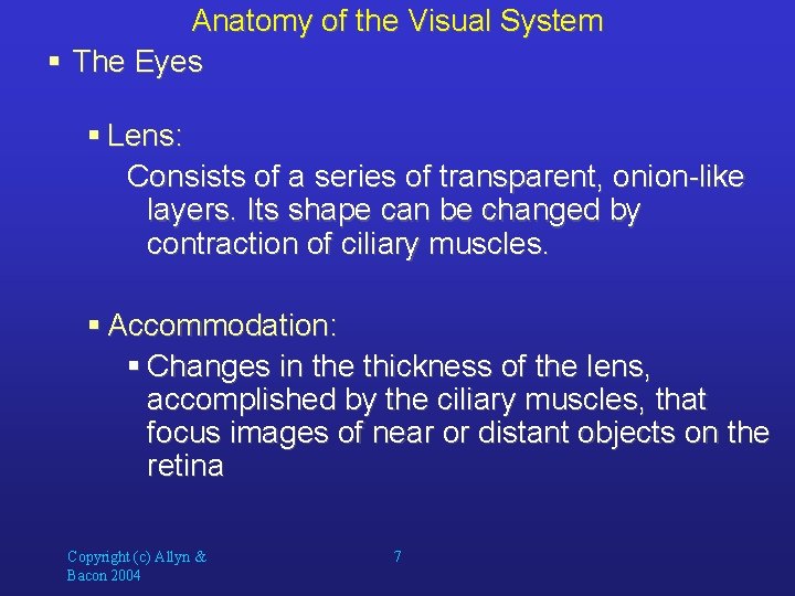 Anatomy of the Visual System § The Eyes § Lens: Consists of a series