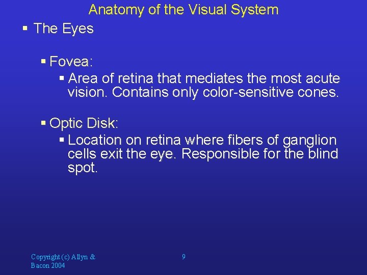 Anatomy of the Visual System § The Eyes § Fovea: § Area of retina