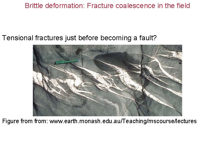 Brittle deformation: Fracture coalescence in the field Tensional fractures just before becoming a fault?