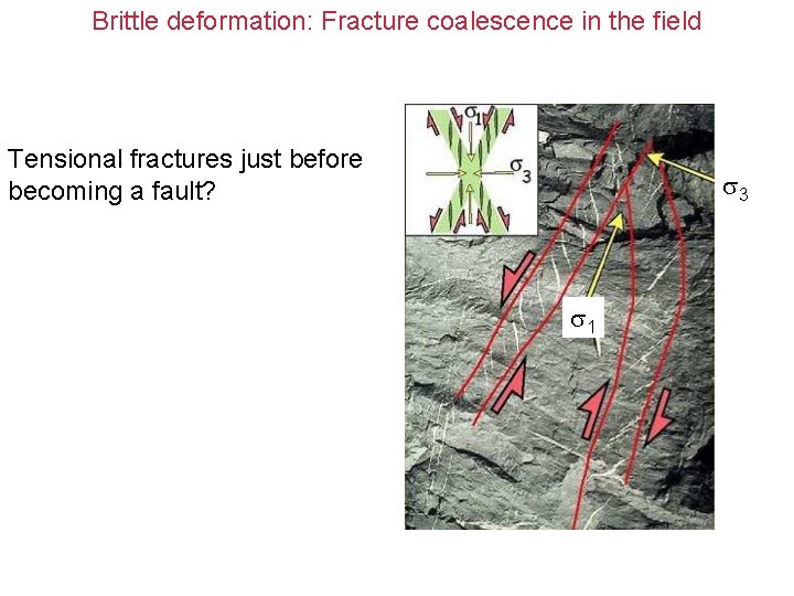 Brittle deformation: Fracture coalescence in the field Tensional fractures just before becoming a fault?