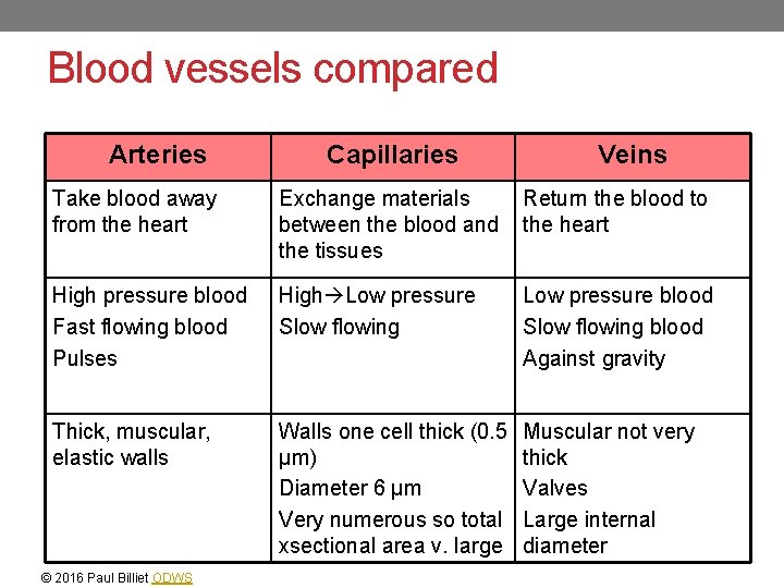 Blood vessels compared Arteries Capillaries Veins Take blood away from the heart Exchange materials