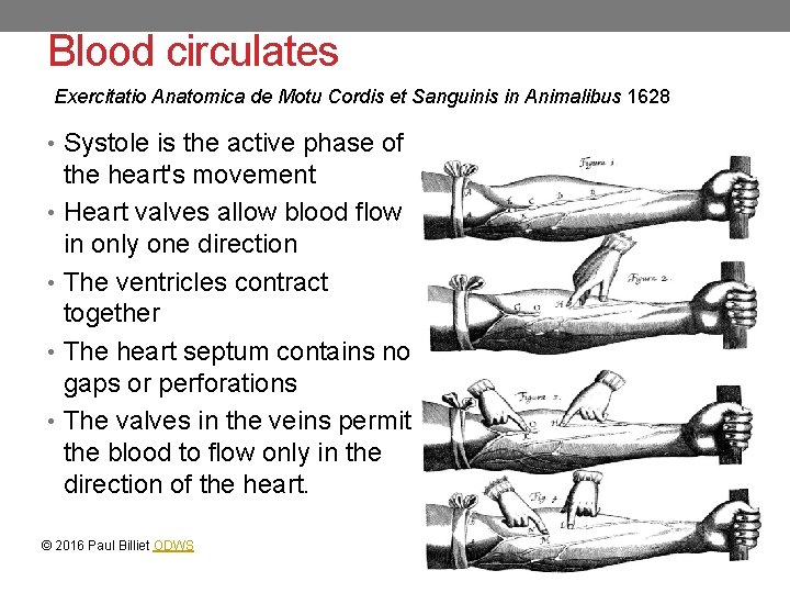 Blood circulates Exercitatio Anatomica de Motu Cordis et Sanguinis in Animalibus 1628 • Systole