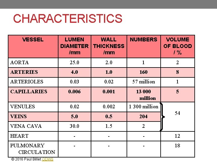 CHARACTERISTICS VESSEL LUMEN WALL NUMBERS DIAMETER THICKNESS /mm VOLUME OF BLOOD /% AORTA 25.