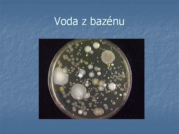 Voda z bazénu 