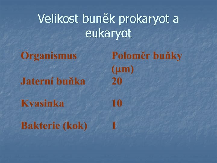 Velikost buněk prokaryot a eukaryot 