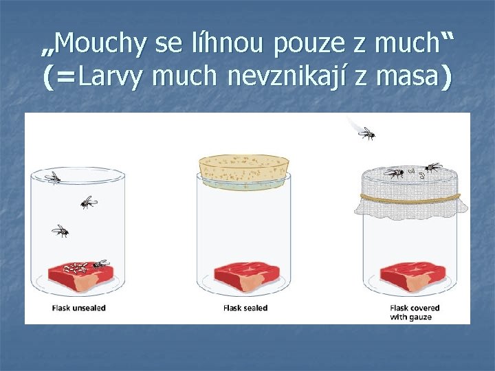 „Mouchy se líhnou pouze z much“ (=Larvy much nevznikají z masa) 