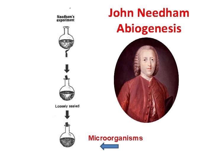 John Needham Abiogenesis Microorganisms 