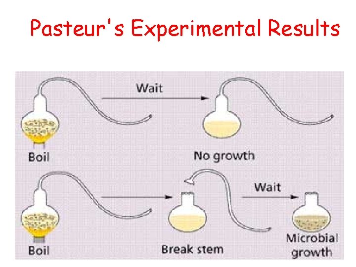 Pasteur's Experimental Results 