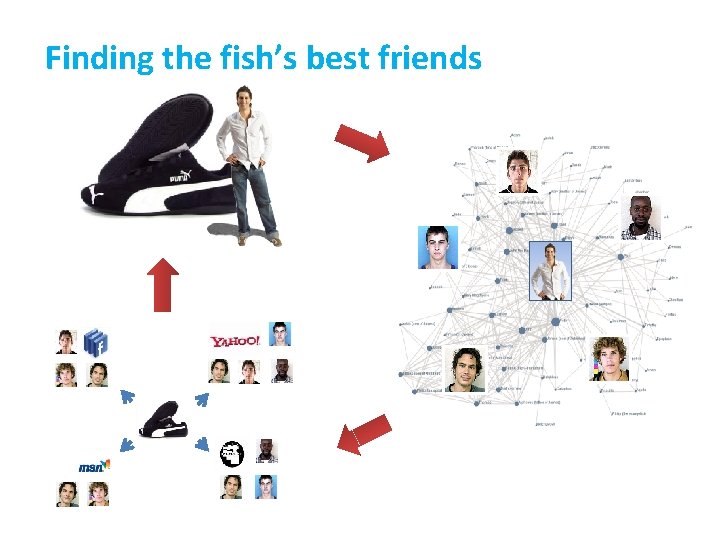 Finding the fish’s best friends 