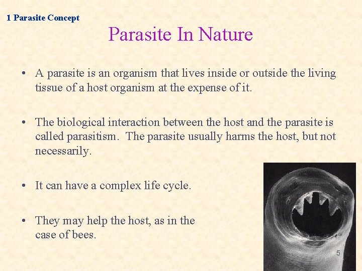1 Parasite Concept Parasite In Nature • A parasite is an organism that lives