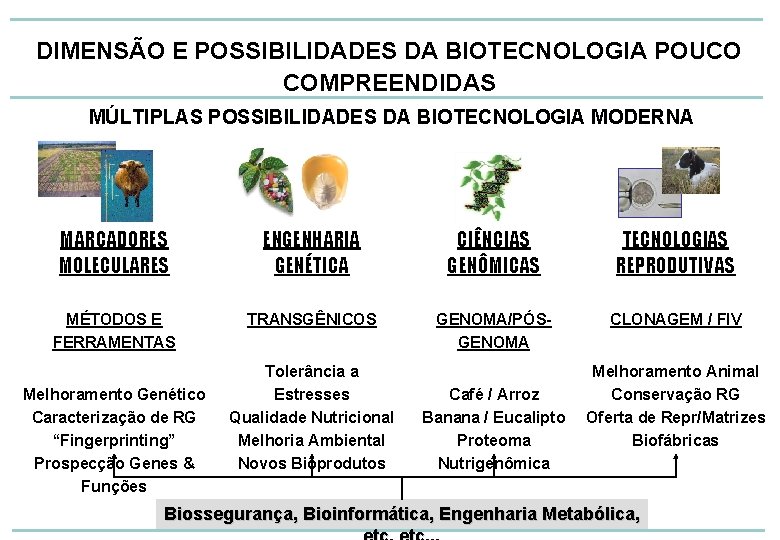 DIMENSÃO E POSSIBILIDADES DA BIOTECNOLOGIA POUCO COMPREENDIDAS MÚLTIPLAS POSSIBILIDADES DA BIOTECNOLOGIA MODERNA MARCADORES MOLECULARES