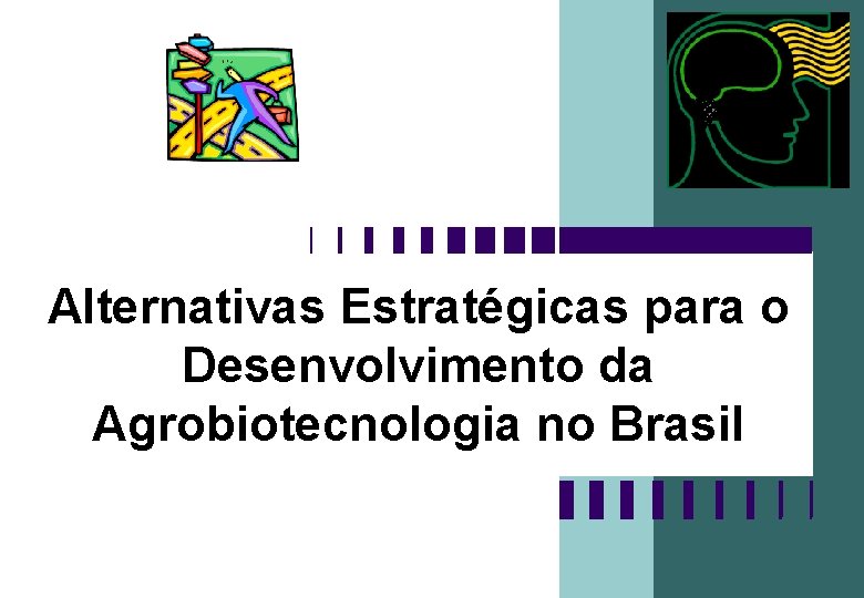 Alternativas Estratégicas para o Desenvolvimento da Agrobiotecnologia no Brasil 