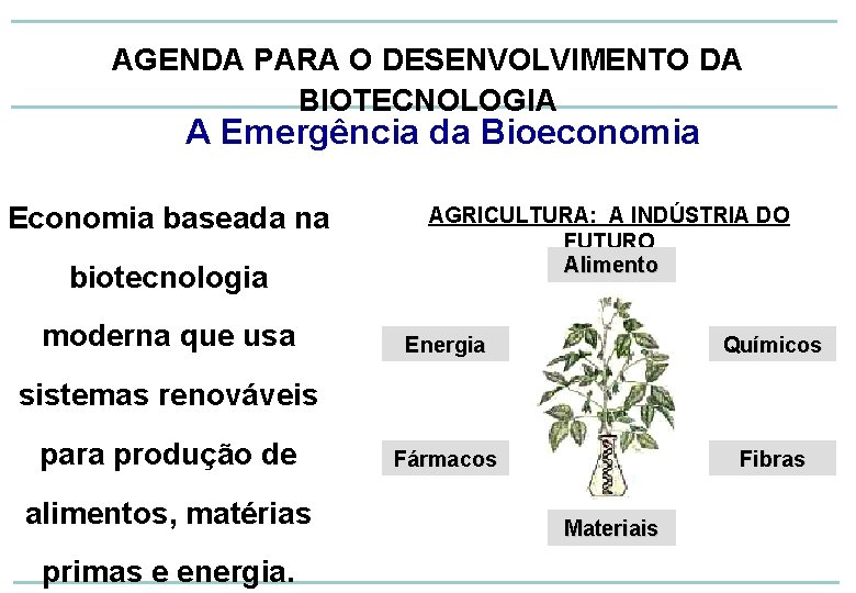 AGENDA PARA O DESENVOLVIMENTO DA BIOTECNOLOGIA A Emergência da Bioeconomia Economia baseada na biotecnologia
