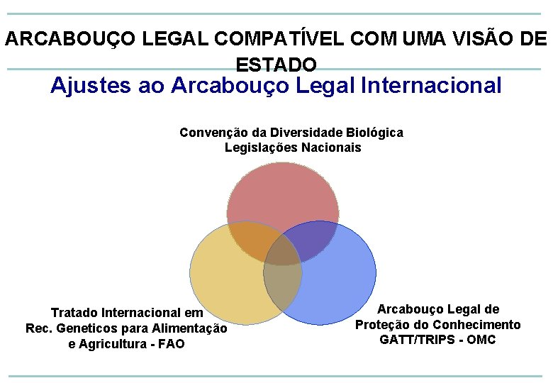ARCABOUÇO LEGAL COMPATÍVEL COM UMA VISÃO DE ESTADO Ajustes ao Arcabouço Legal Internacional Convenção