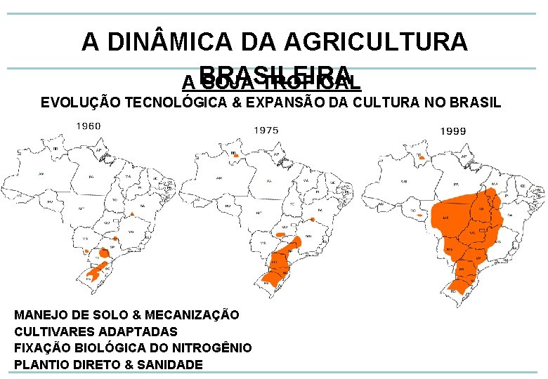 A DIN MICA DA AGRICULTURA A BRASILEIRA SOJA TROPICAL EVOLUÇÃO TECNOLÓGICA & EXPANSÃO DA