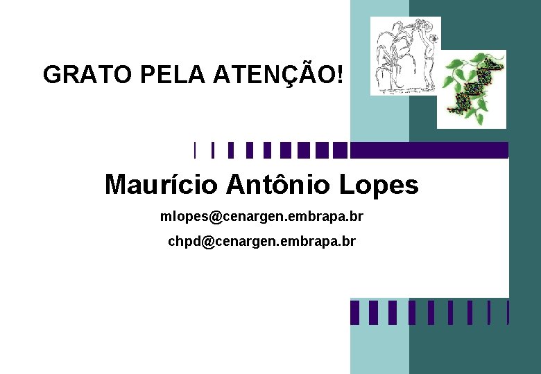 GRATO PELA ATENÇÃO! Maurício Antônio Lopes mlopes@cenargen. embrapa. br chpd@cenargen. embrapa. br 