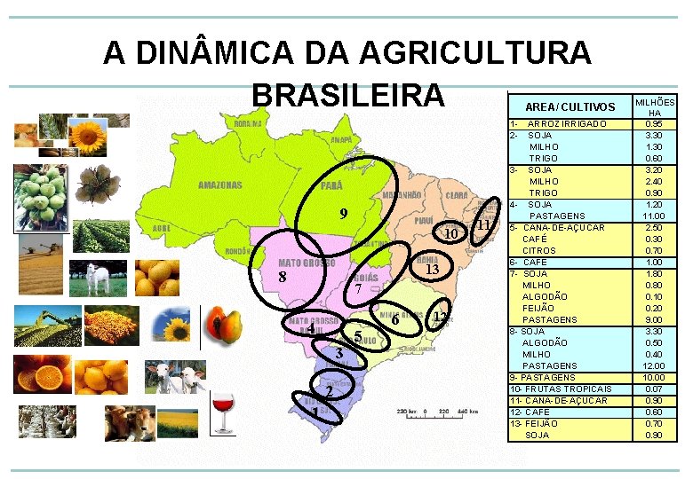 A DIN MICA DA AGRICULTURA BRASILEIRA AREA/ CULTIVOS 12 - 9 10 13 8