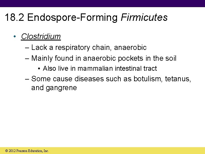 18. 2 Endospore-Forming Firmicutes • Clostridium – Lack a respiratory chain, anaerobic – Mainly