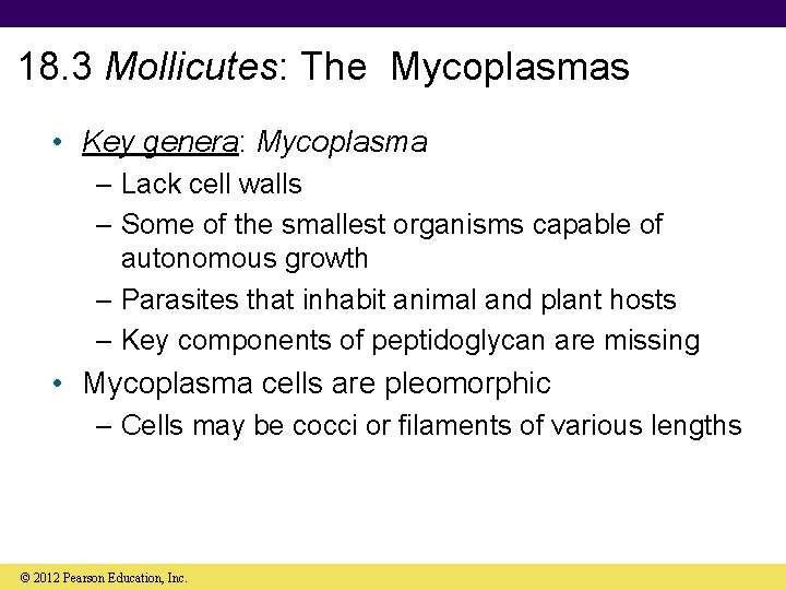 18. 3 Mollicutes: The Mycoplasmas • Key genera: Mycoplasma – Lack cell walls –