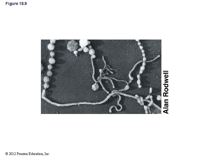 Figure 18. 9 © 2012 Pearson Education, Inc. 