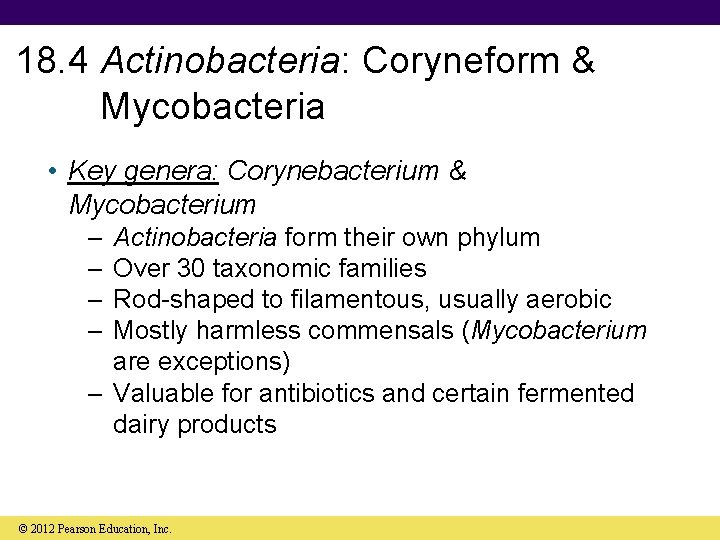 18. 4 Actinobacteria: Coryneform & Mycobacteria • Key genera: Corynebacterium & Mycobacterium – –