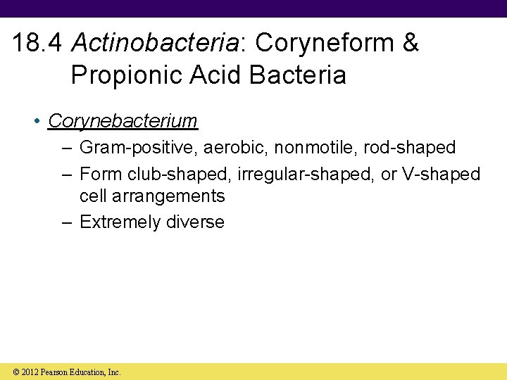 18. 4 Actinobacteria: Coryneform & Propionic Acid Bacteria • Corynebacterium – Gram-positive, aerobic, nonmotile,