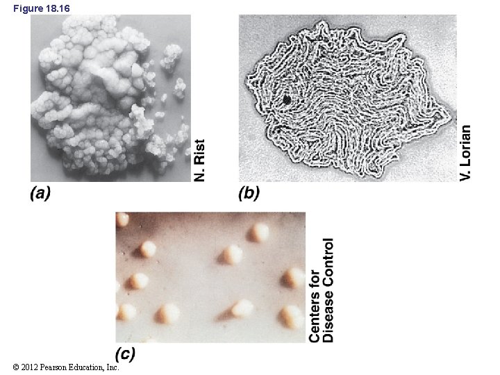 Figure 18. 16 © 2012 Pearson Education, Inc. 