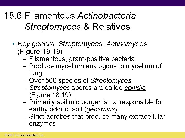 18. 6 Filamentous Actinobacteria: Streptomyces & Relatives • Key genera: Streptomyces, Actinomyces (Figure 18.