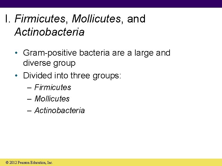 I. Firmicutes, Mollicutes, and Actinobacteria • Gram-positive bacteria are a large and diverse group