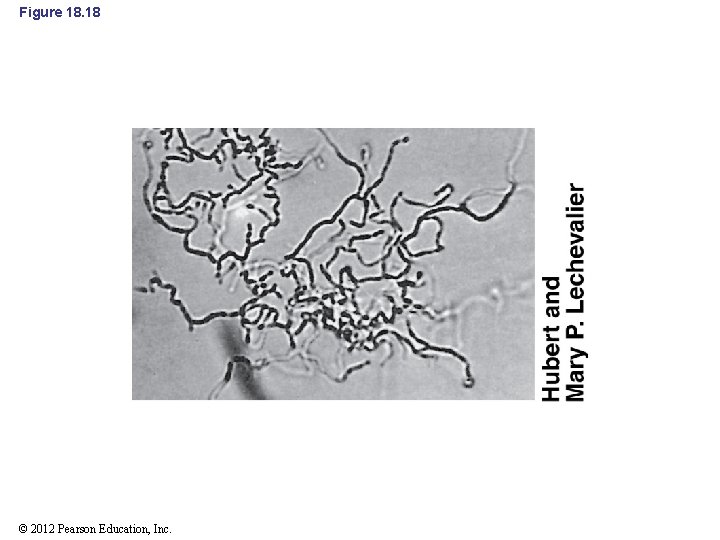 Figure 18. 18 © 2012 Pearson Education, Inc. 