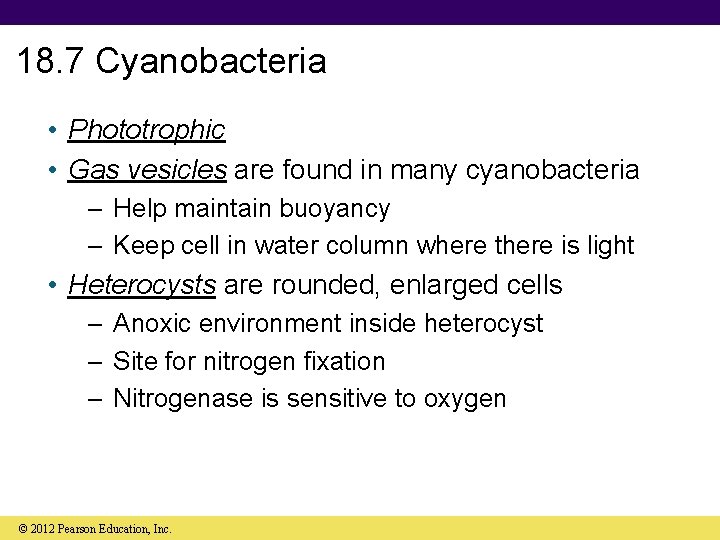 18. 7 Cyanobacteria • Phototrophic • Gas vesicles are found in many cyanobacteria –