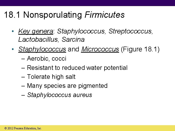 18. 1 Nonsporulating Firmicutes • Key genera: Staphylococcus, Streptococcus, Lactobacillus, Sarcina • Staphylococcus and