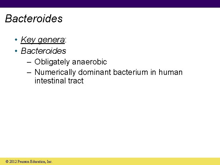 Bacteroides • Key genera: • Bacteroides – Obligately anaerobic – Numerically dominant bacterium in